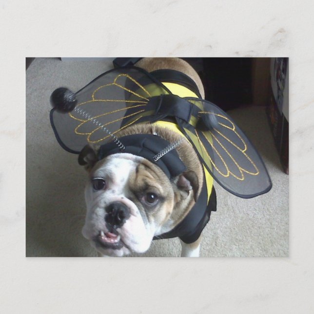 Bulldog Bee Postcard (Front)
