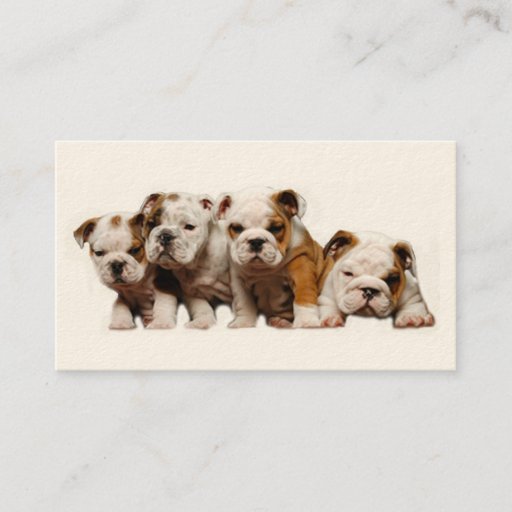 Customizable Bulldog Breeder Business Card