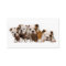 Bulldog Breeder Business Card