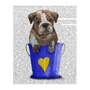 Bulldog Bucket Of Love Blue Acrylic Print