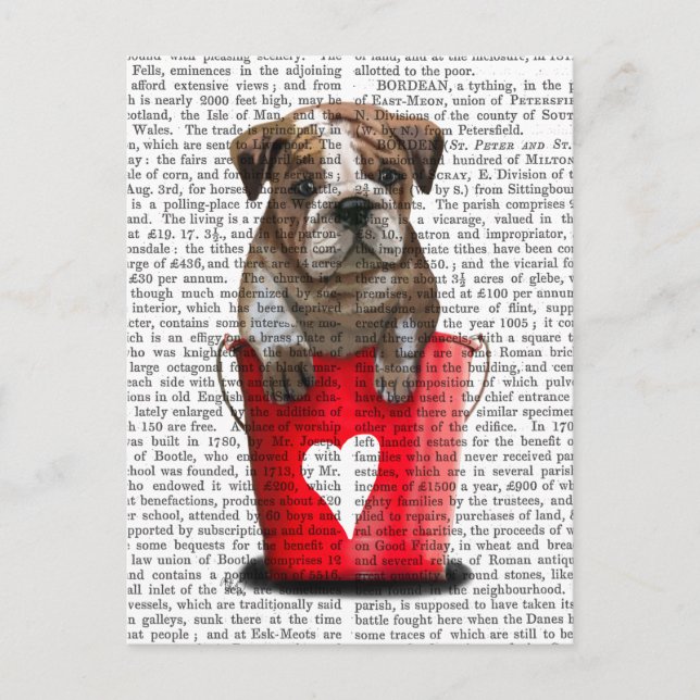 Bulldog Bucket Of Love Red Postcard (Front)