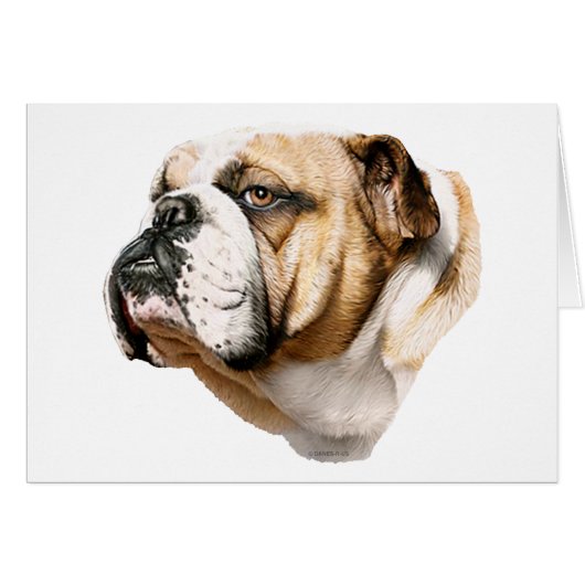 Bulldog Bust (Front Horizontal)