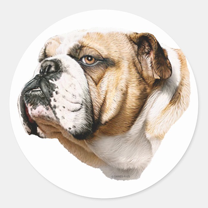 Bulldog Bust Round Stickers