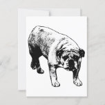 Bulldog By Post Postcard