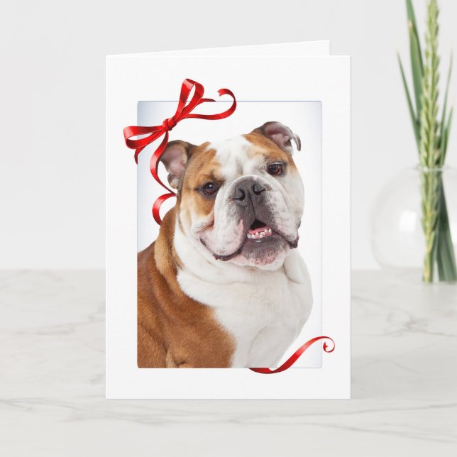 Bulldog Christmas Card (Front)