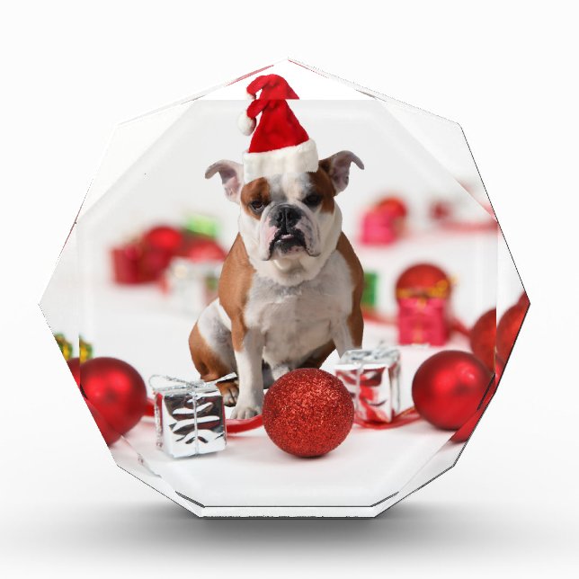 Bulldog Christmas Gift Box Ornaments Red Santa Hat (Front)