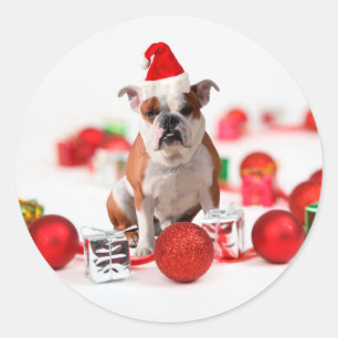 Bulldog Christmas Gift Box Ornaments Red Santa Hat Classic Round Sticker