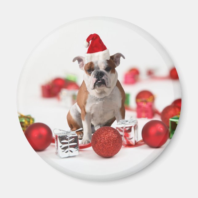 Bulldog Christmas Gift Box Ornaments Red Santa Hat Magnet (Front)