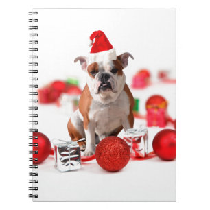 Bulldog Christmas Gift Box Ornaments Red Santa Hat Notebook
