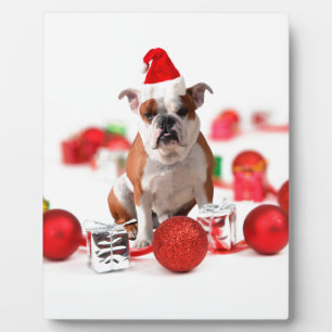 Bulldog Christmas Gift Box Ornaments Red Santa Hat Plaque