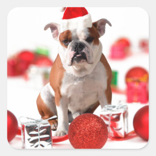 Bulldog Christmas Gift Box Ornaments Red Santa Hat Square Sticker