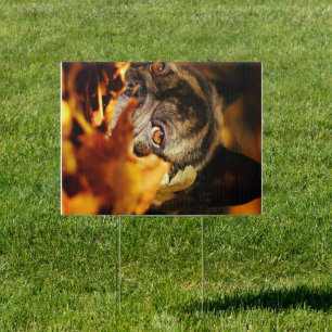 Bulldog Dog Cute English Bulldog Lover Gift Sign