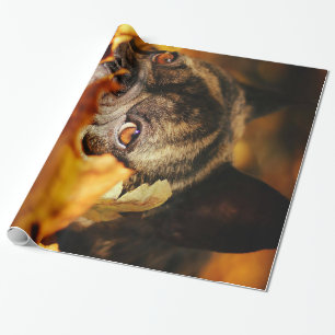 Bulldog Dog Cute English Bulldog Lover Gift Wrapping Paper