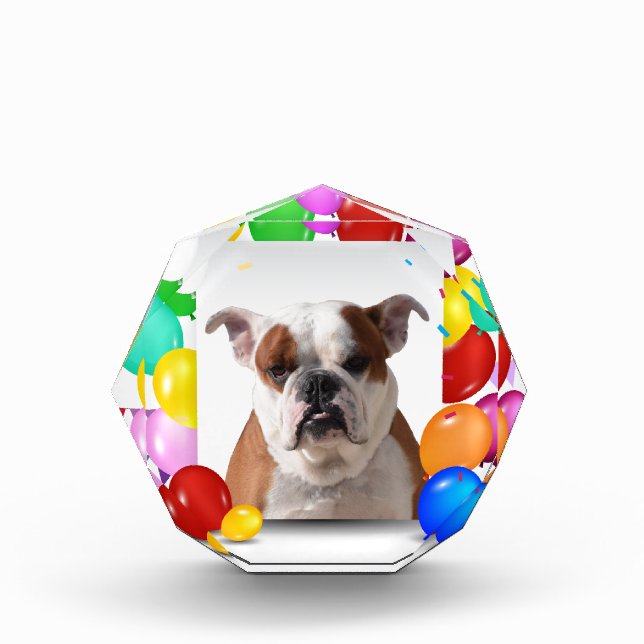 Bulldog Dog with colorful Balloons Birthday Theme Award (Front)