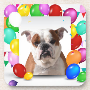 Bulldog Dog with colorful Balloons Birthday Theme Beverage Coaster