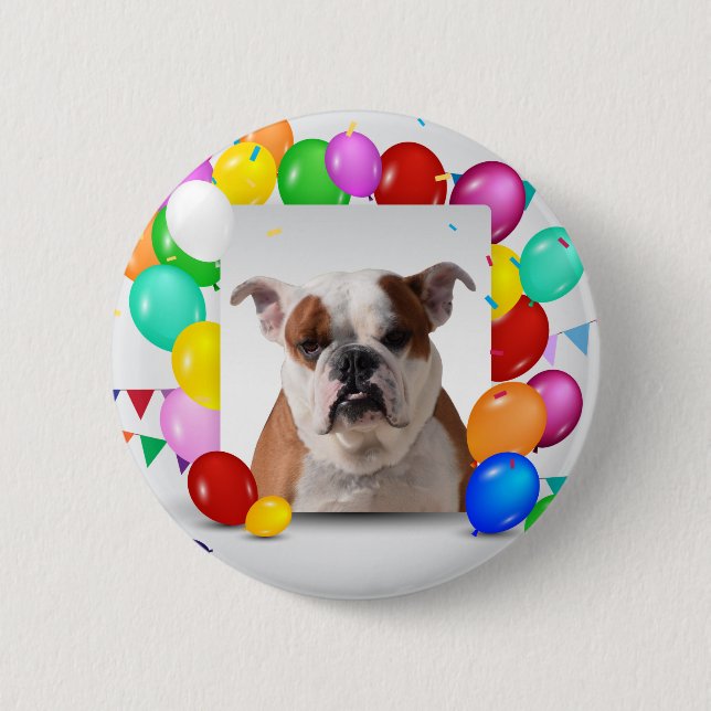 Bulldog Dog with colorful Balloons Birthday Theme Pinback Button (Front)
