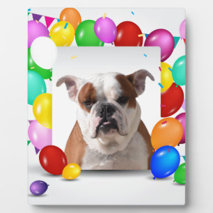 Bulldog Dog with colorful Balloons Birthday Theme Plaque