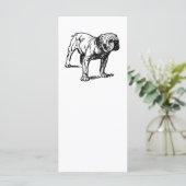 bulldog drawing (Standing Front)