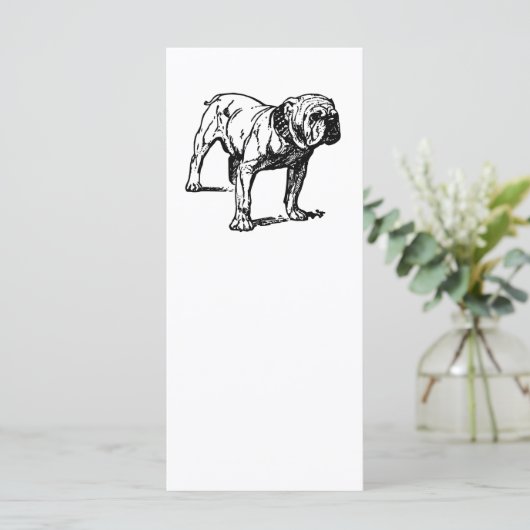 bulldog drawing (Standing Front)