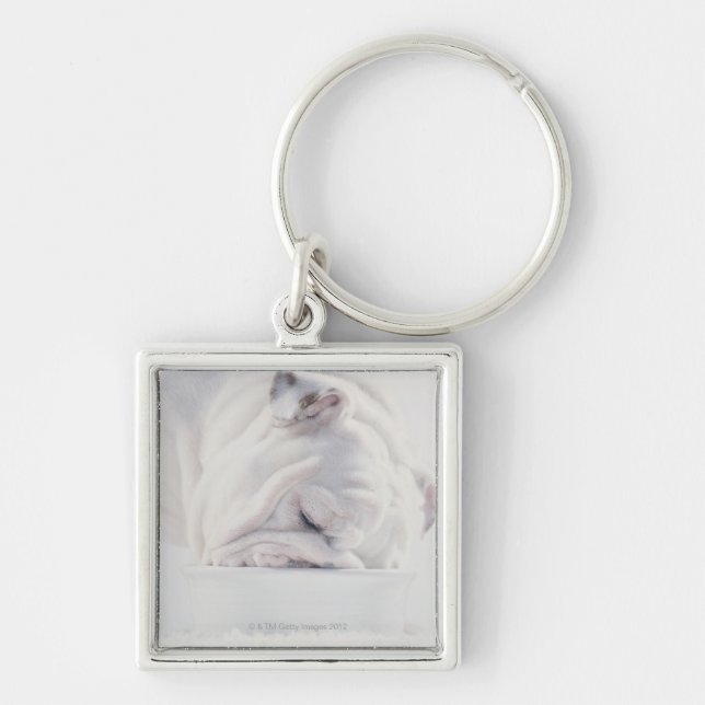 Bulldog Eating Keychain (Front)