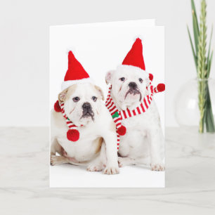 Bulldog Elves Holiday Card