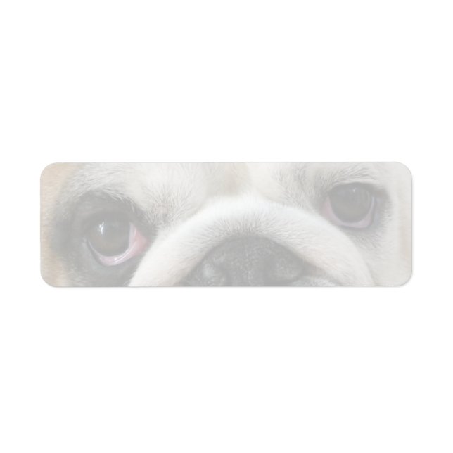 Bulldog Eyes Label (Front)