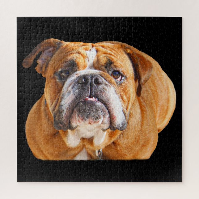 Bulldog Face - English Bulldog, Brown Jigsaw Puzzle (Vertical)