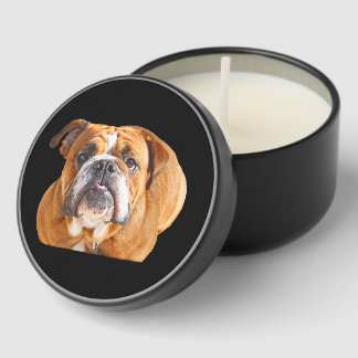 Bulldog Face - English Bulldog, Brown Mini Candle Favors
