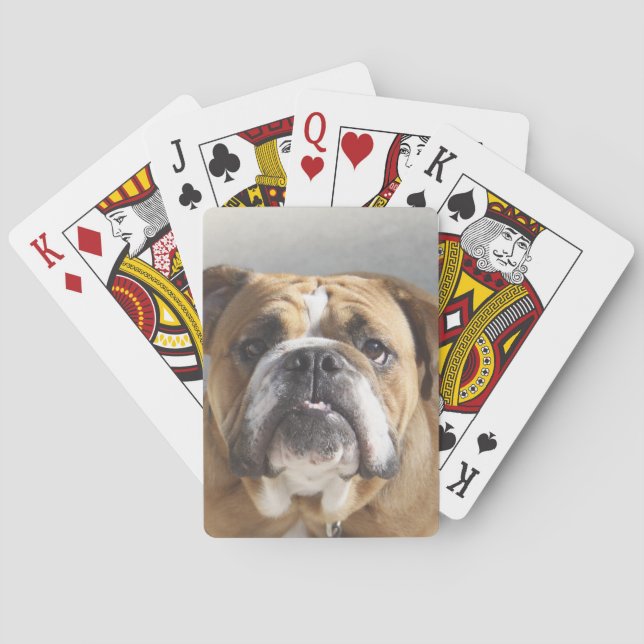 Bulldog Face - English Bulldog, Brown Poker Cards (Back)