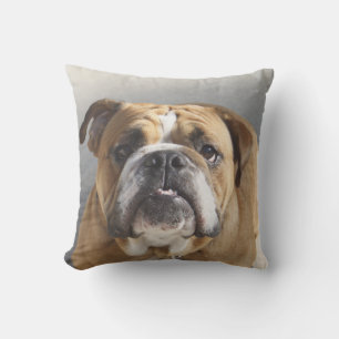 Bulldog Face - English Bulldog, Brown Throw Pillow