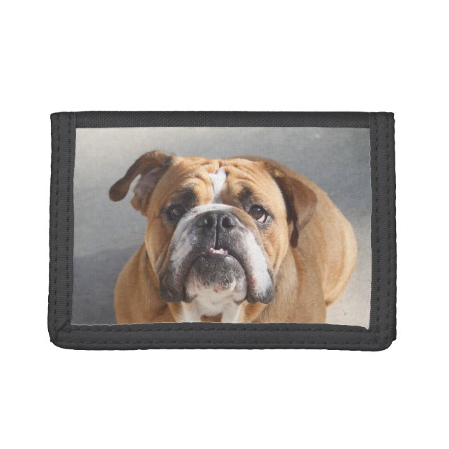 Bulldog Face - English Bulldog, Brown Trifold Wallet (Front)