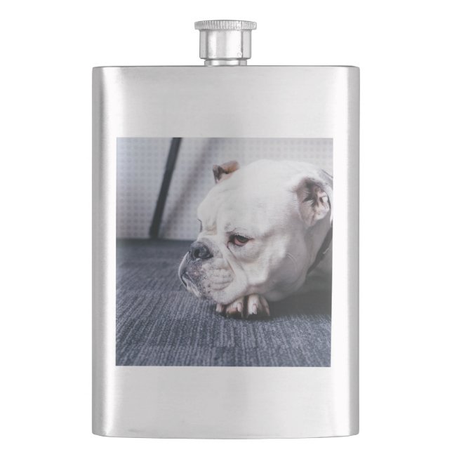 bulldog flask (Front)
