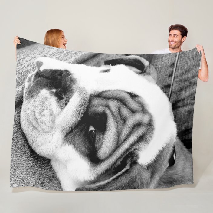 bulldog fleece blanket