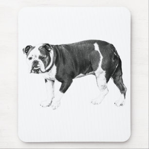 Bulldog Focus, Steady Art Mouse Pad