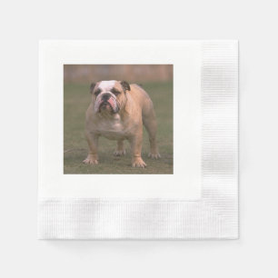 bulldog full 2.png napkins