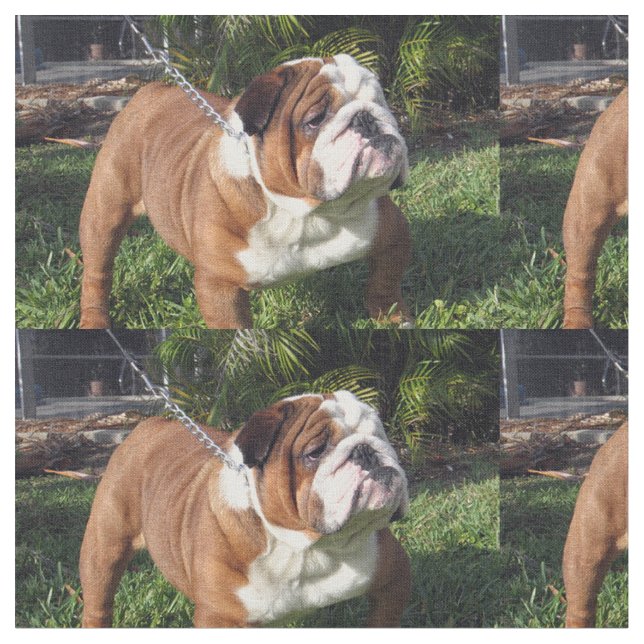 bulldog full.png fabric (Close Up)