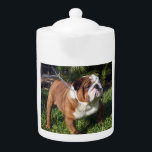 bulldog full.png teapot<br><div class="desc">b</div>