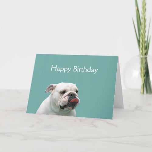 Bulldog funny face custom birthday card