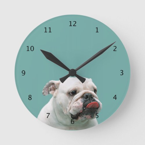 Bulldog funny face with tongue sticking out gift round clock