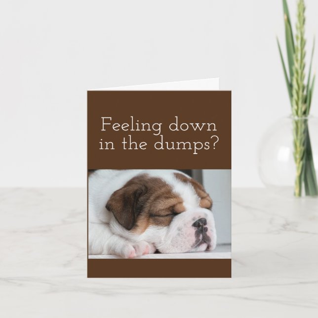 BULLDOG GET WELL CARD (Front)