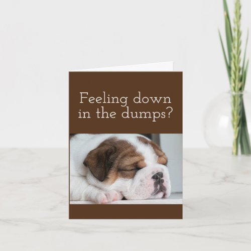 BULLDOG GET WELL CARD