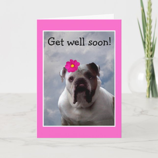 Bulldog Get Well Soon greeting card (Front)