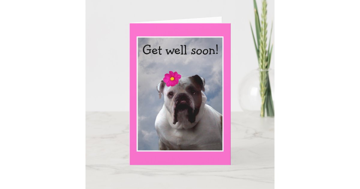 get well soon bulldog