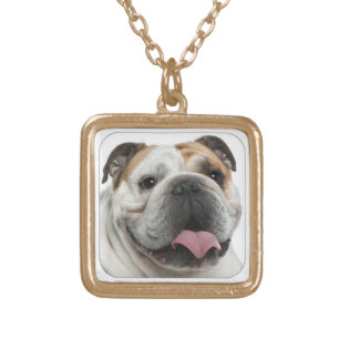 bulldog gold plated necklace