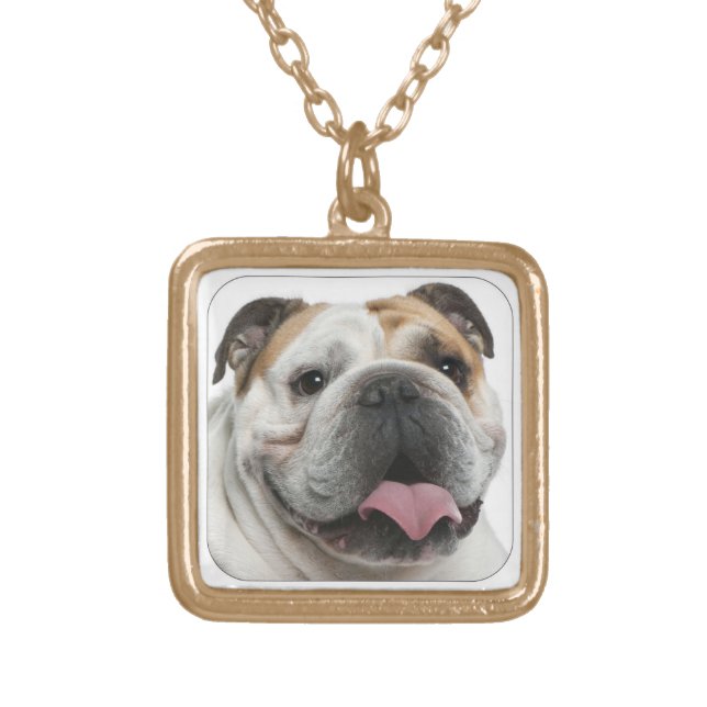 bulldog gold plated necklace (Front)