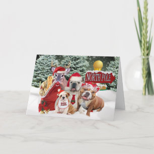 Bulldog Greating From The North Pole Holiday Card