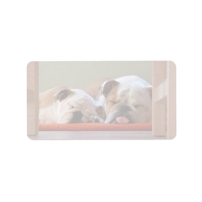 Bulldog Group Sleeping Label (Front)