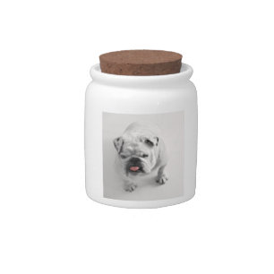 bulldog in bw candy jar