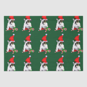 Bulldog in Santa Hat Christmas Tissue Paper