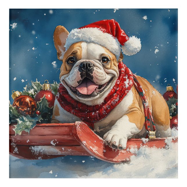 Bulldog in Sledge Let it Snow Christmas Acrylic Print (Front)